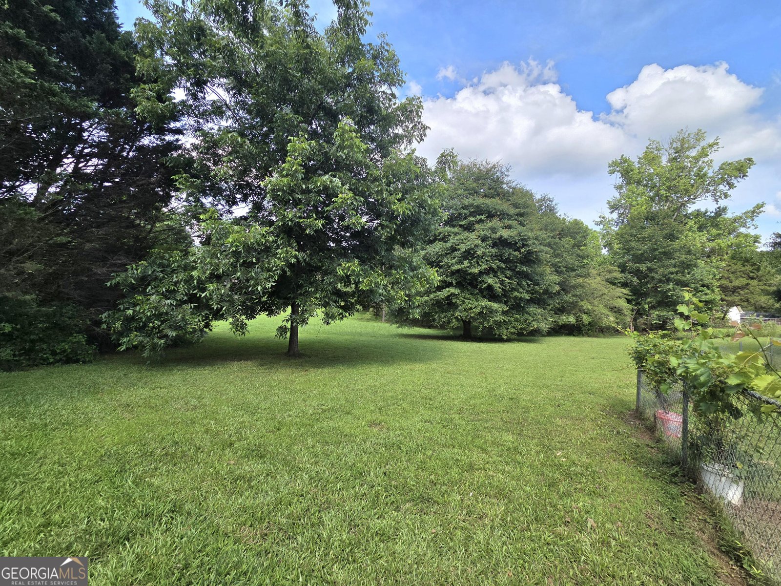 165 Cedar Ridge Road Locust Grove - 3