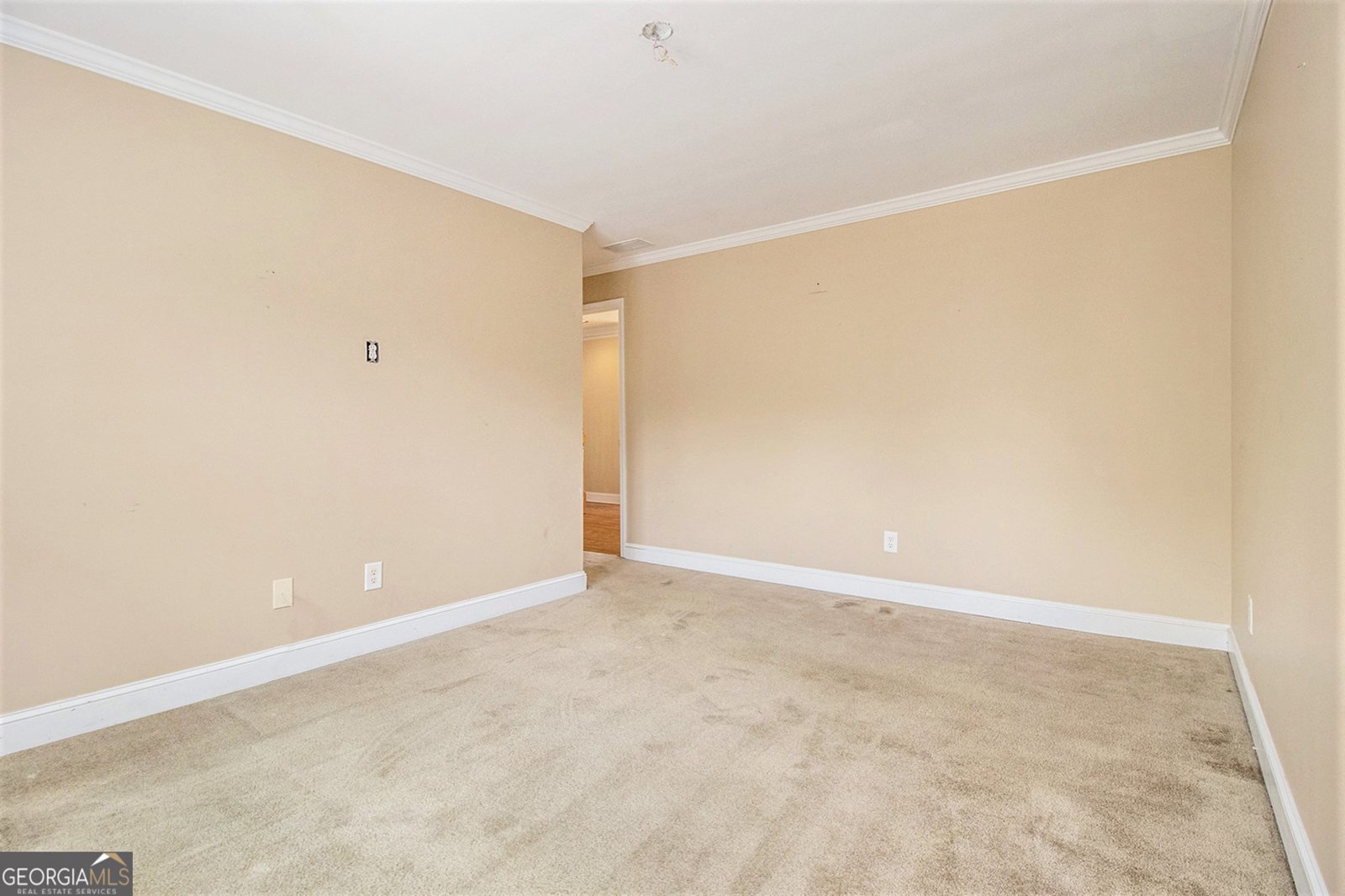 317 Saint Pauls Court Stockbridge - 22