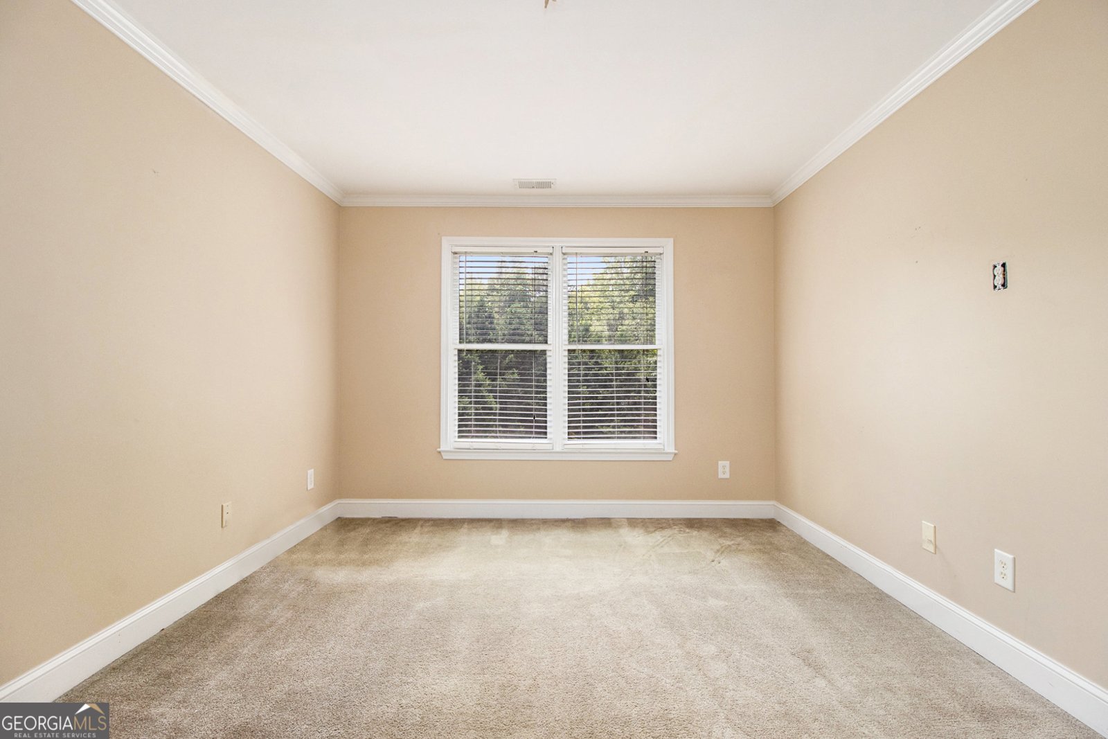 317 Saint Pauls Court Stockbridge - 28