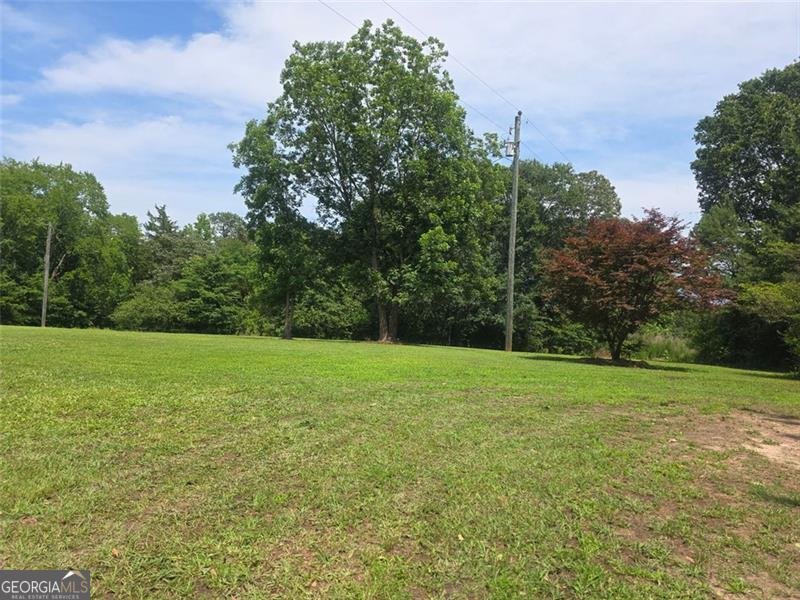 220 TUSCARORA Trail Hartwell - 30