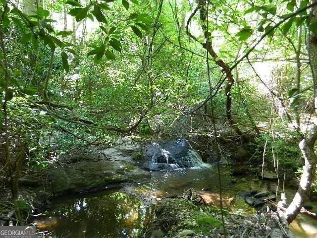 220 TUSCARORA Trail Hartwell - 32