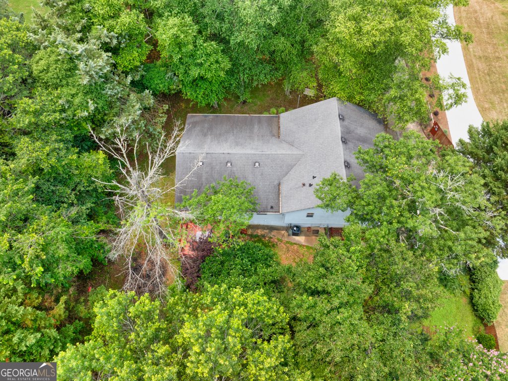 4444 Cannon Road Loganville - 51