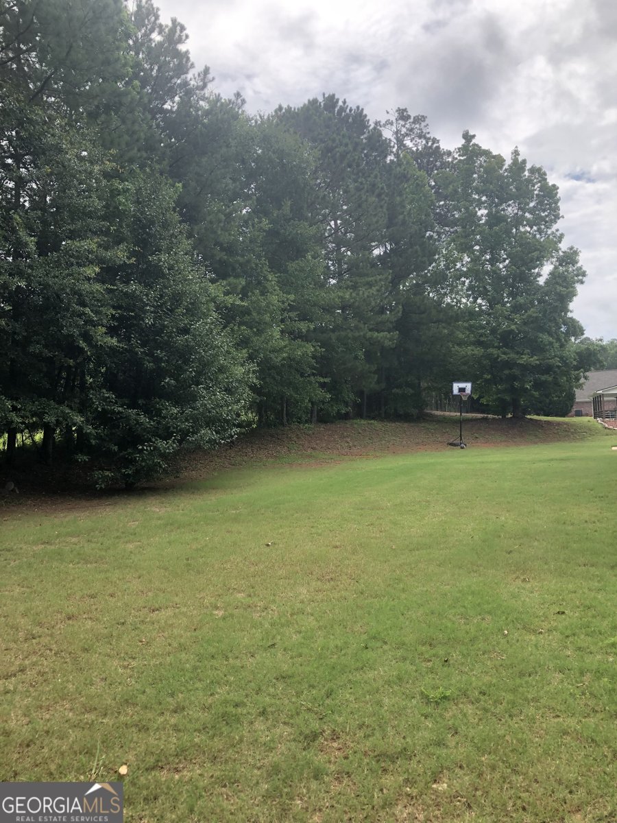 1433 Cotton Trail Conyers - 27
