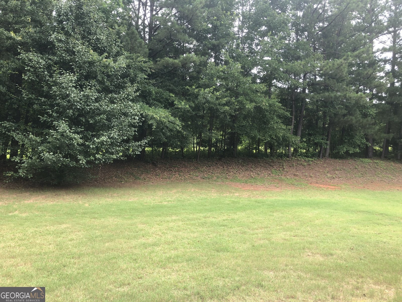 1433 Cotton Trail Conyers - 28