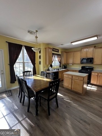 5725 Lake Windsor Parkway Buford - 9
