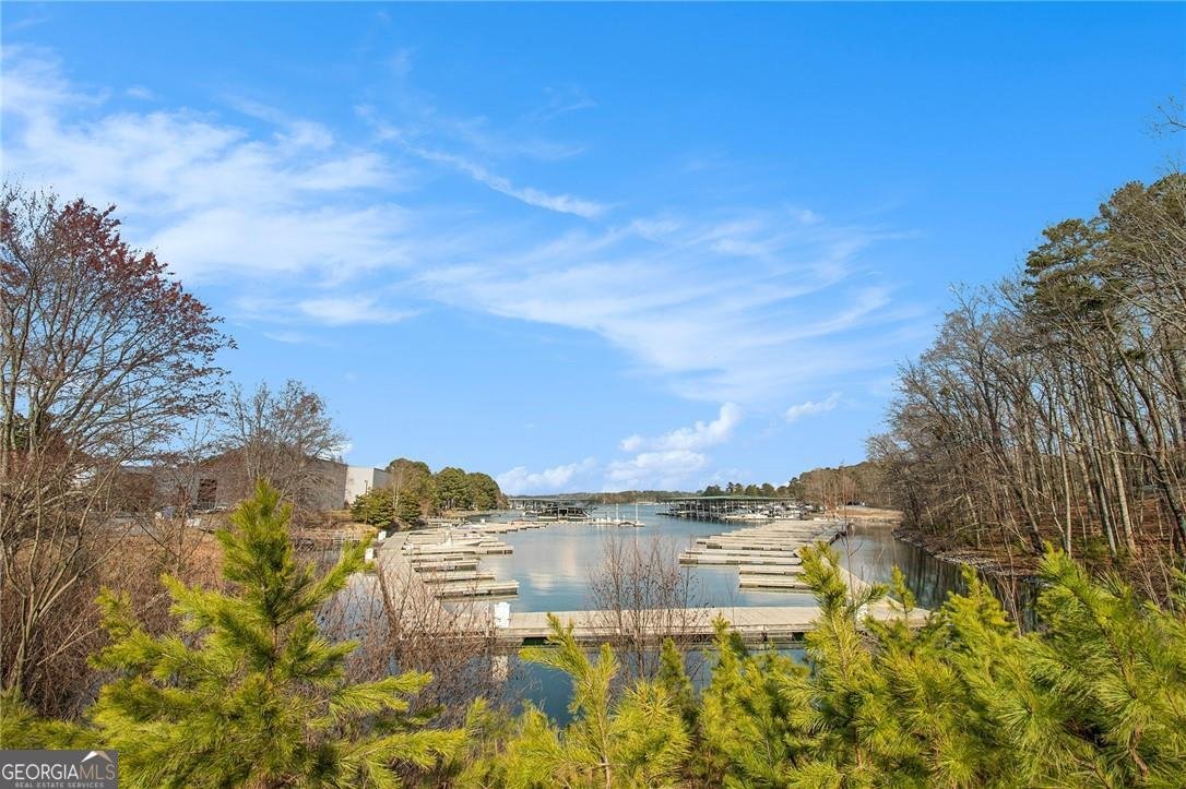 6350 Old Wood Hollow Way Buford - 46