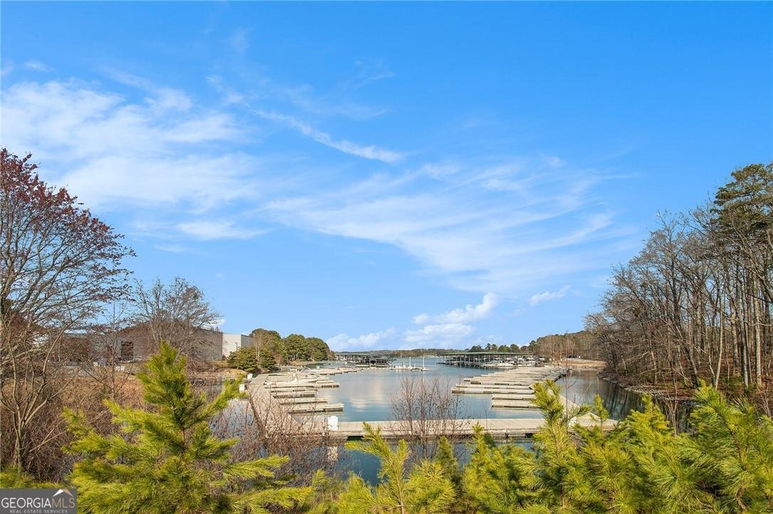 6350 Old Wood Hollow Way Buford - 49