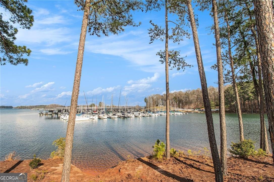 6350 Old Wood Hollow Way Buford - 52
