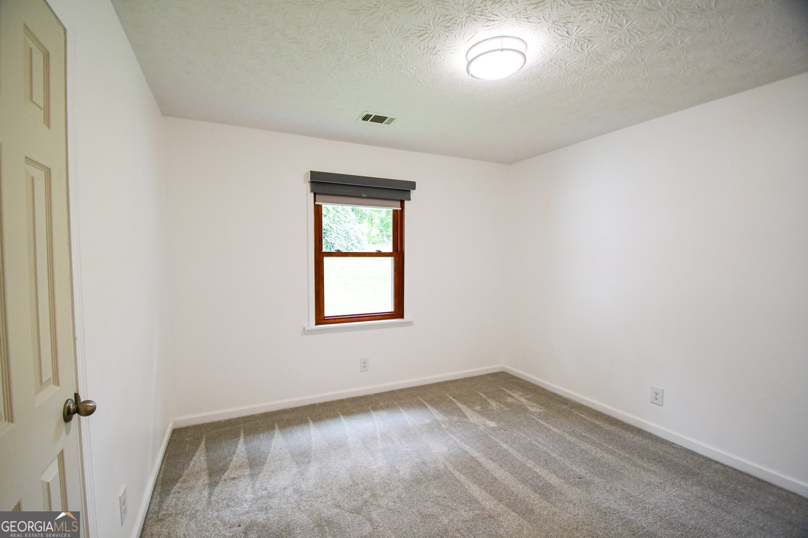 125 Point View Court Tyrone - 22