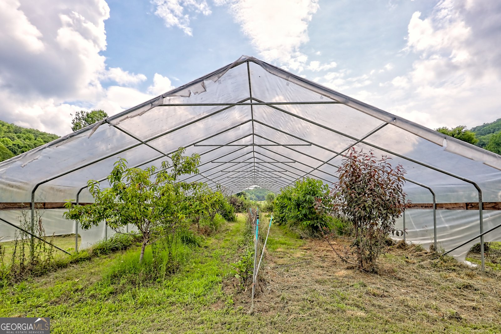 595 Jim McCrackin Road Clayton - 17