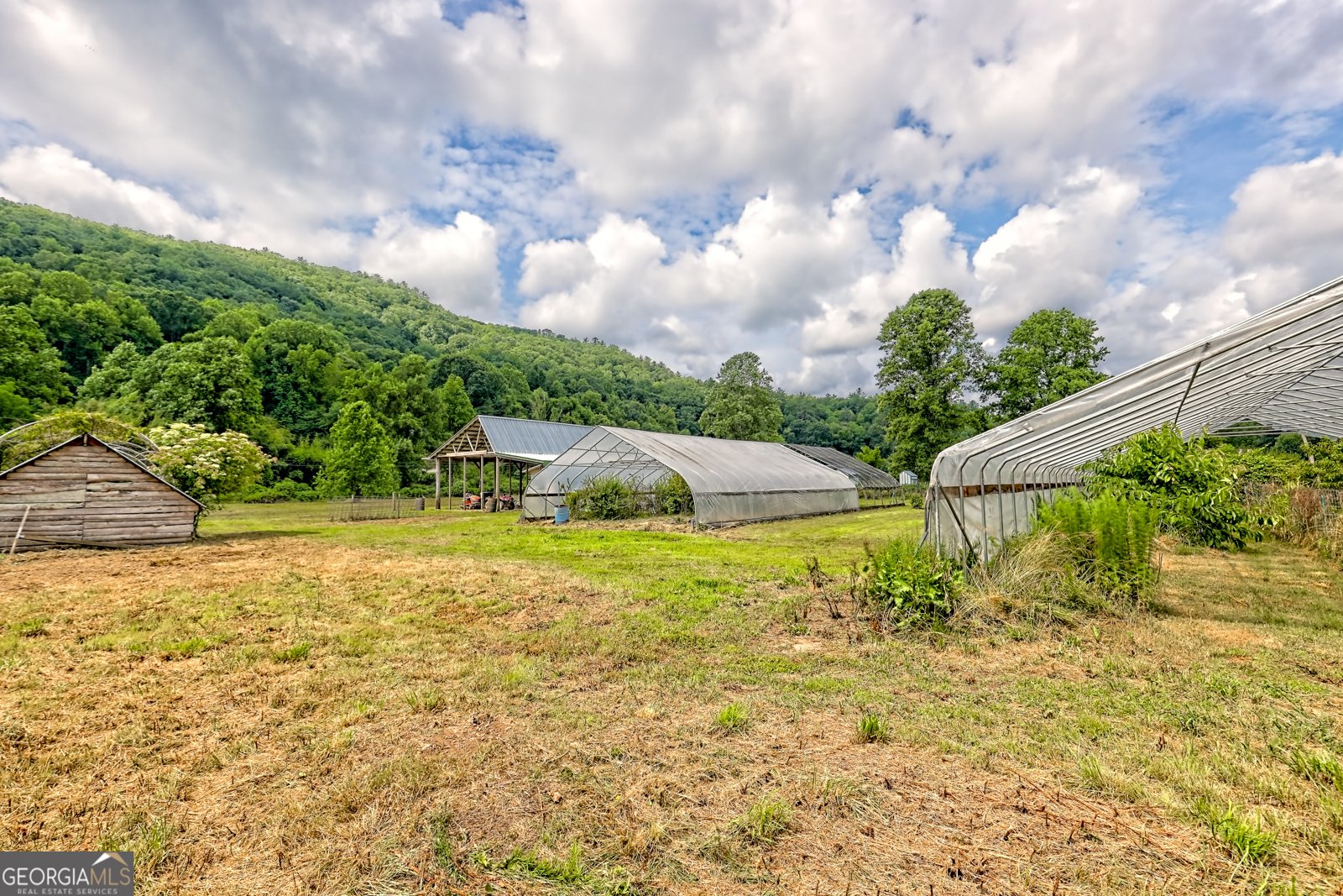 595 Jim McCrackin Road Clayton - 6