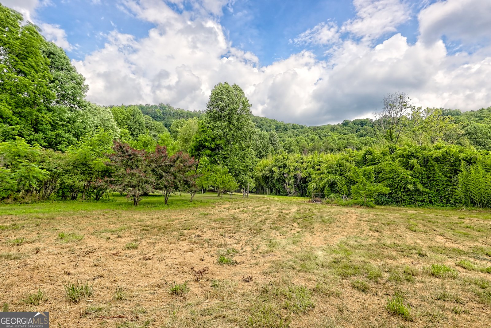 595 Jim McCrackin Road Clayton - 7