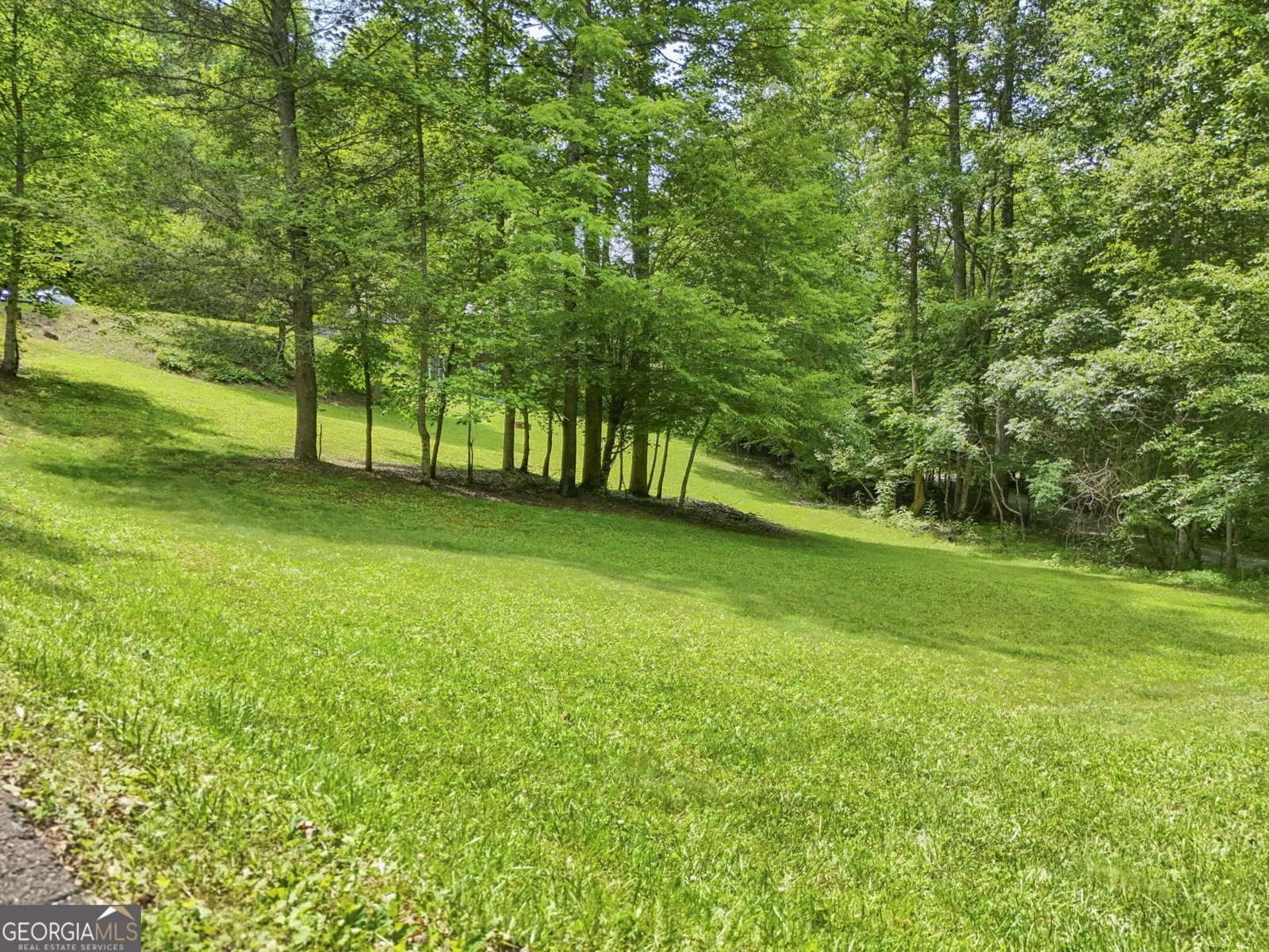 6704 Morgan Drive Young Harris - 8