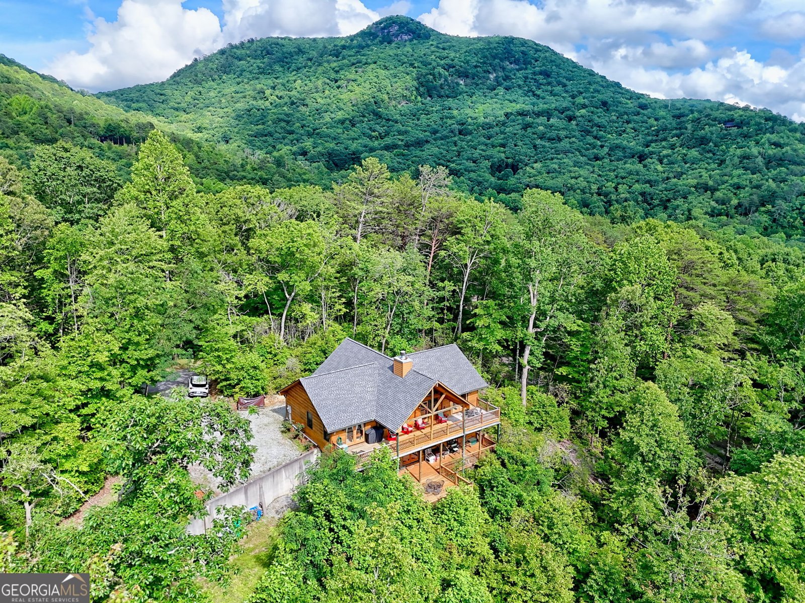 331 Black Bear Den Rd Clayton - 1
