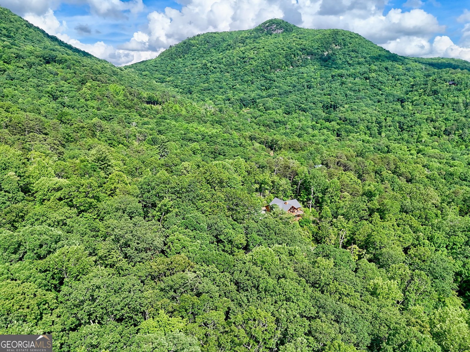 331 Black Bear Den Rd Clayton - 37