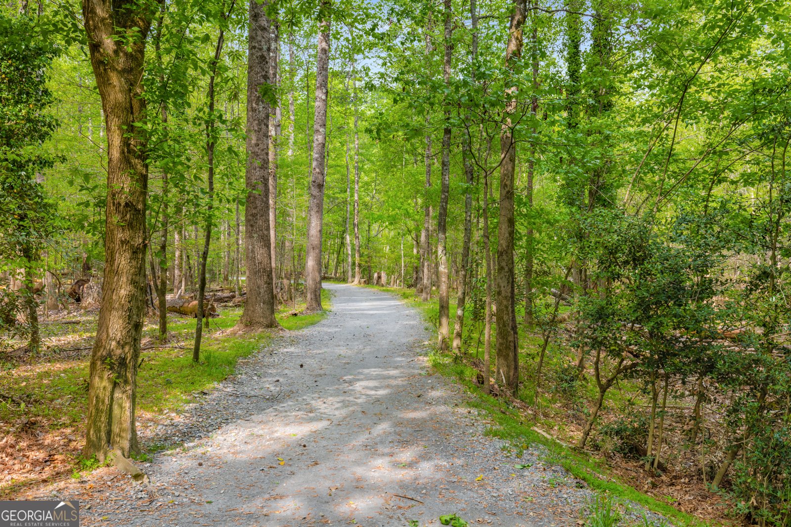 2240 Six Branches Drive Roswell - 35
