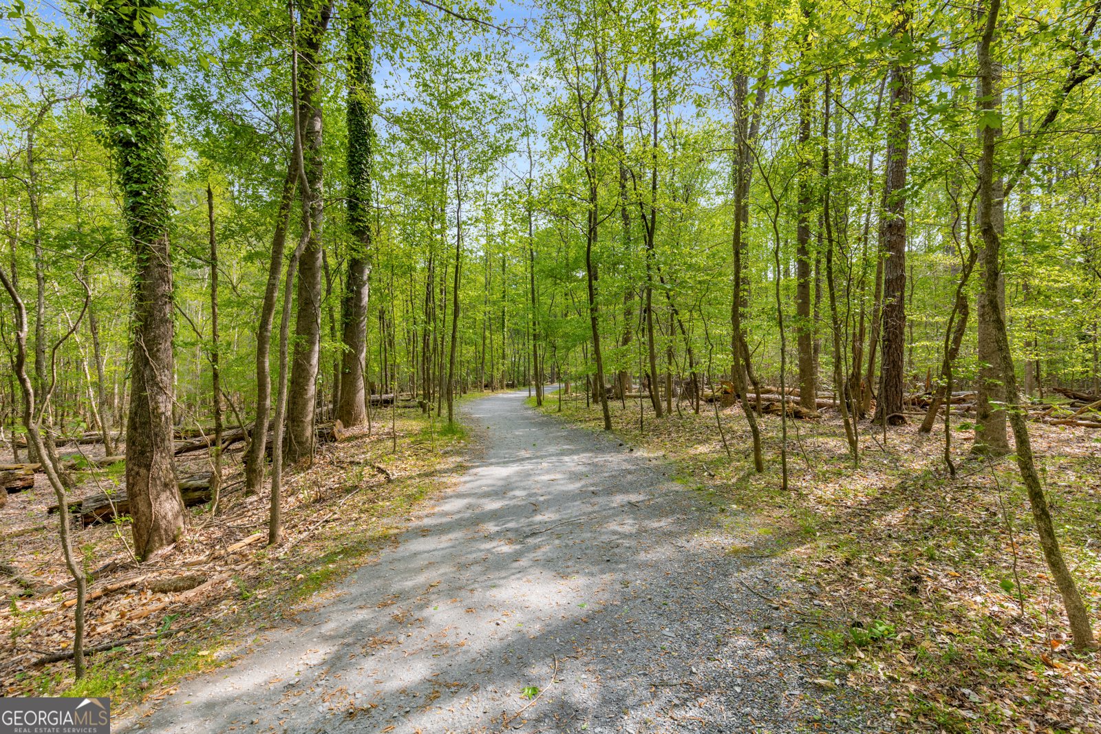 2240 Six Branches Drive Roswell - 36