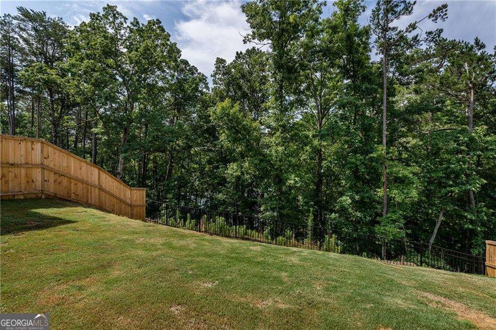 338 Boundless Lane Canton - 39