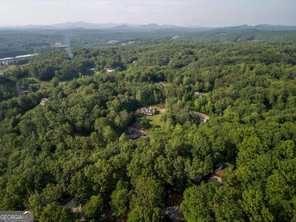 444 Yellowbird Trail Blue Ridge - 30