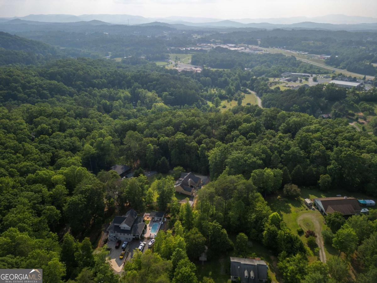 444 Yellowbird Trail Blue Ridge - 31