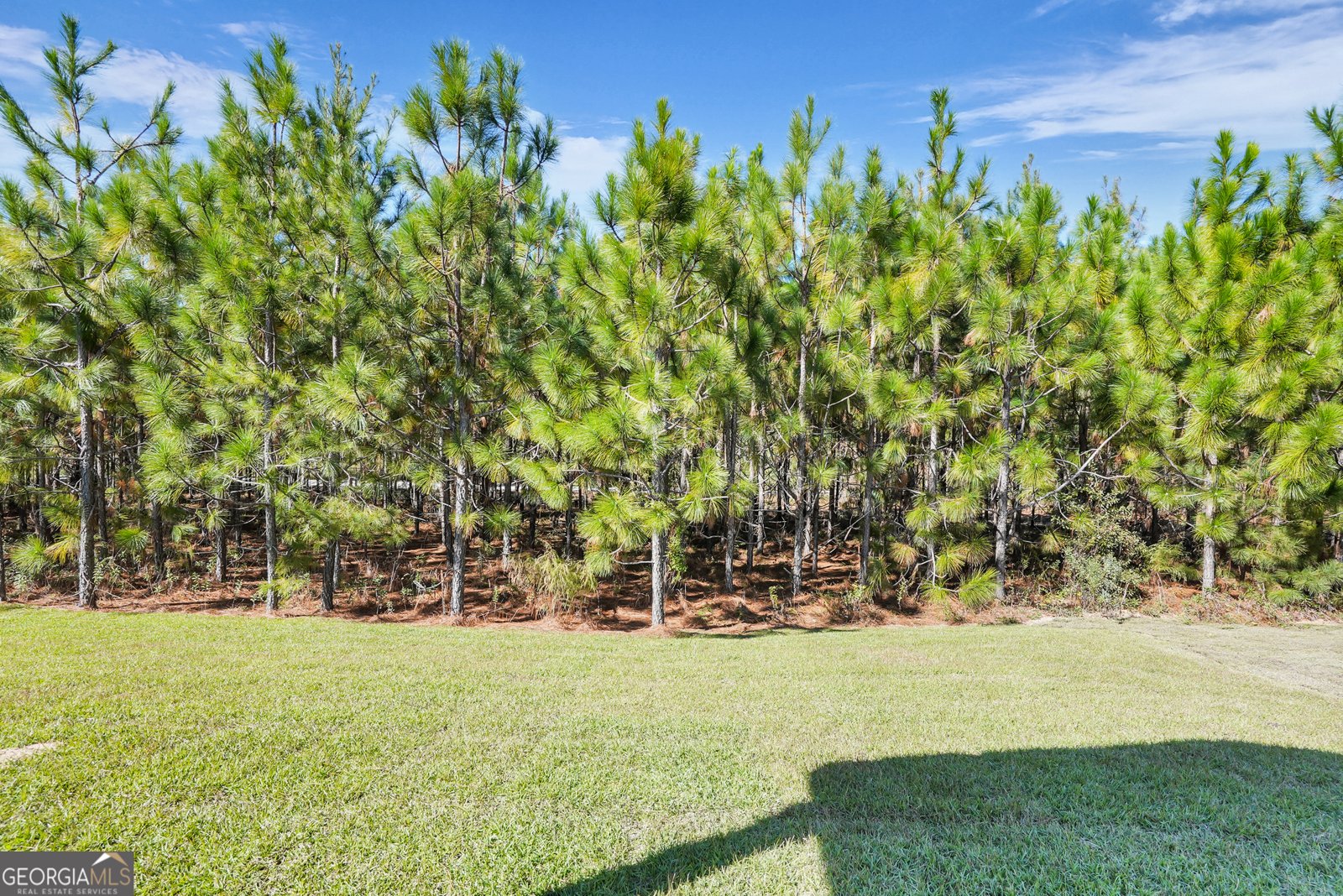 506 Outpost Way Statesboro - 34