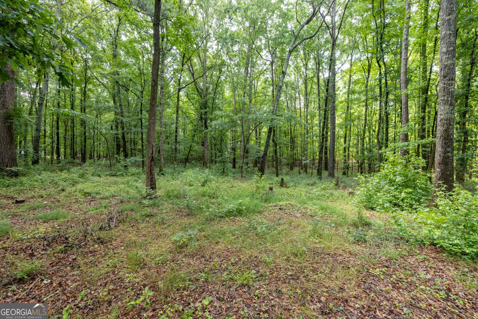 400 McCart Road McDonough - 19