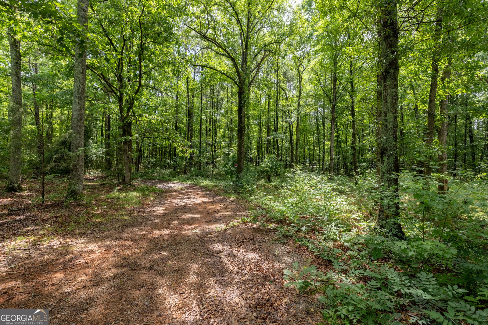 400 McCart Road McDonough - 21