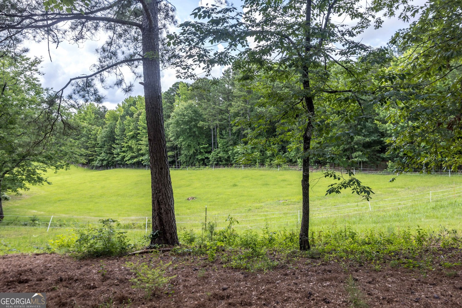 1101 Moon Road Shiloh - 26