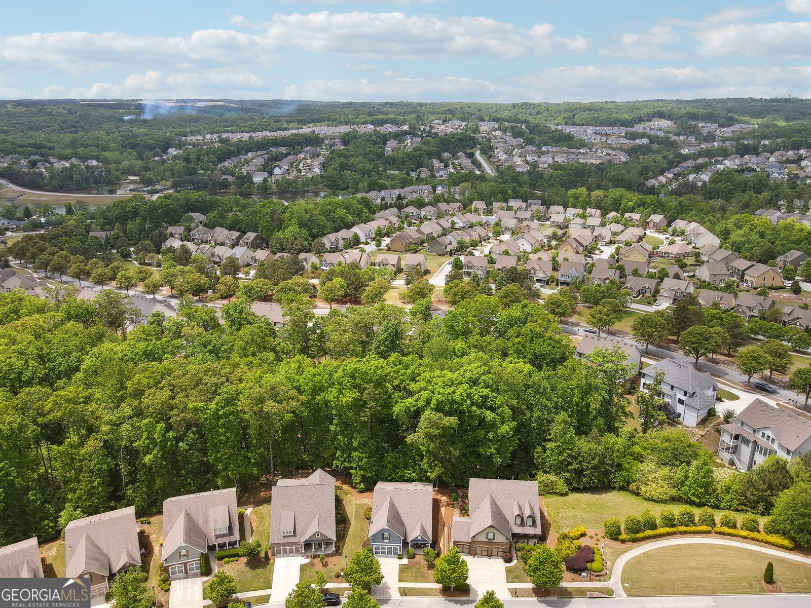 6722 Blue Heron Way Flowery Branch - 29