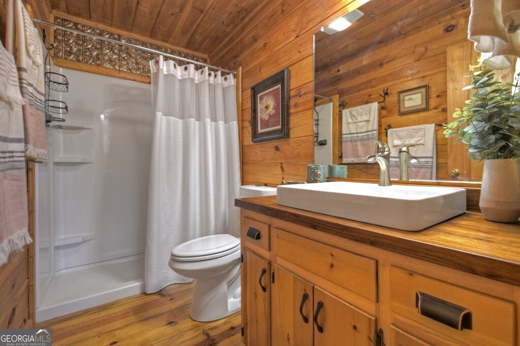 97 Doyle Carder Parkway Blue Ridge - 19
