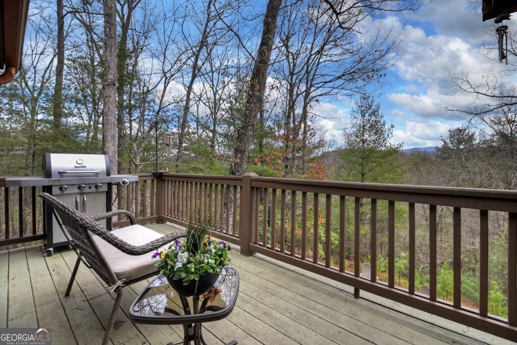 97 Doyle Carder Parkway Blue Ridge - 34