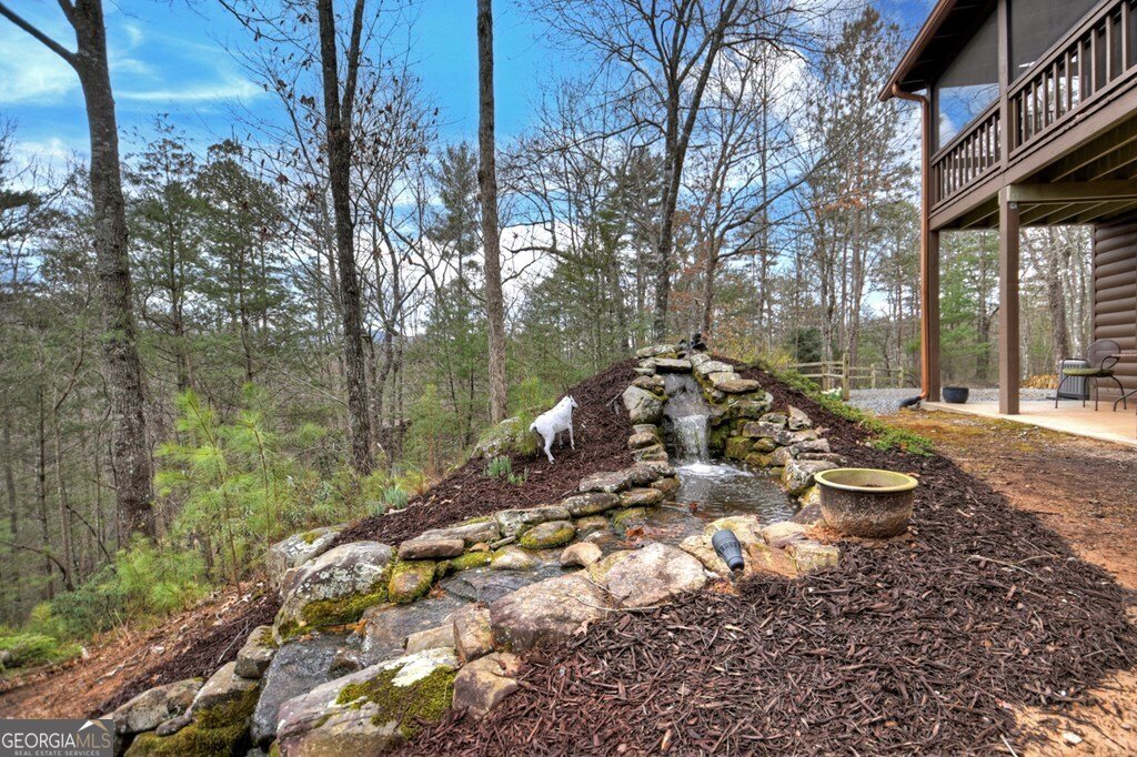 97 Doyle Carder Parkway Blue Ridge - 39