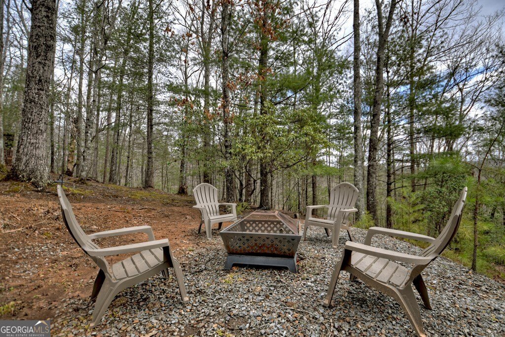 97 Doyle Carder Parkway Blue Ridge - 4