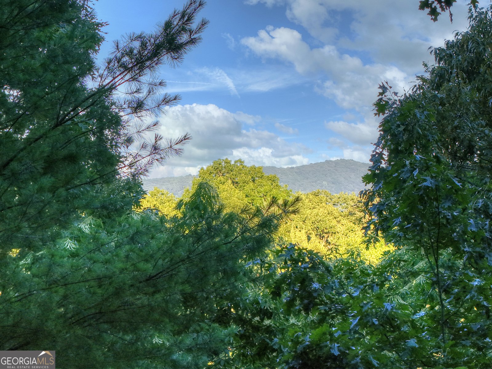 97 Doyle Carder Parkway Blue Ridge - 46
