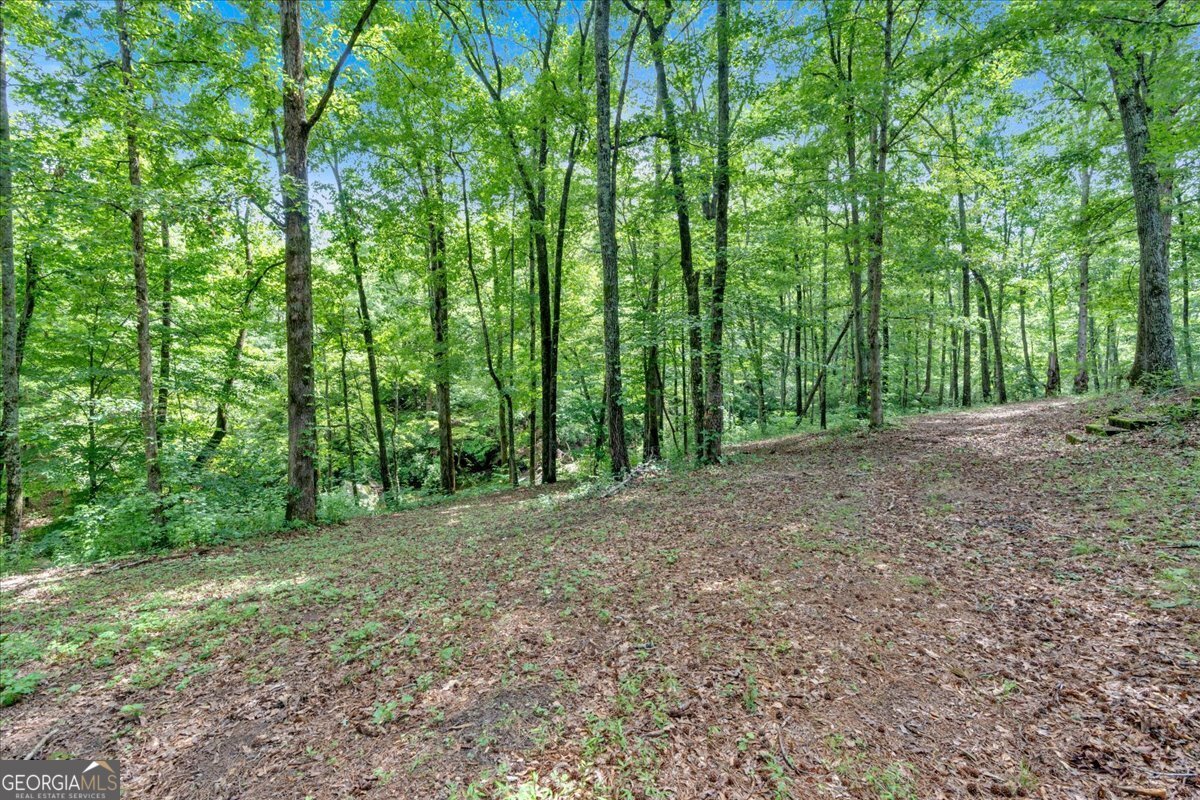 262 Jackson Shoals Road Franklin - 65