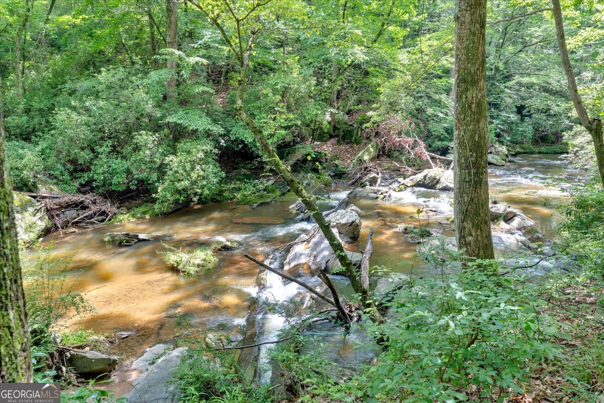 262 Jackson Shoals Road Franklin - 66