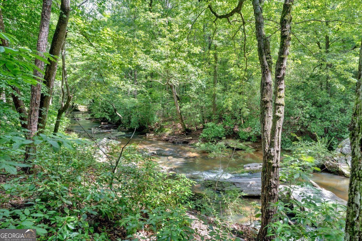 262 Jackson Shoals Road Franklin - 67