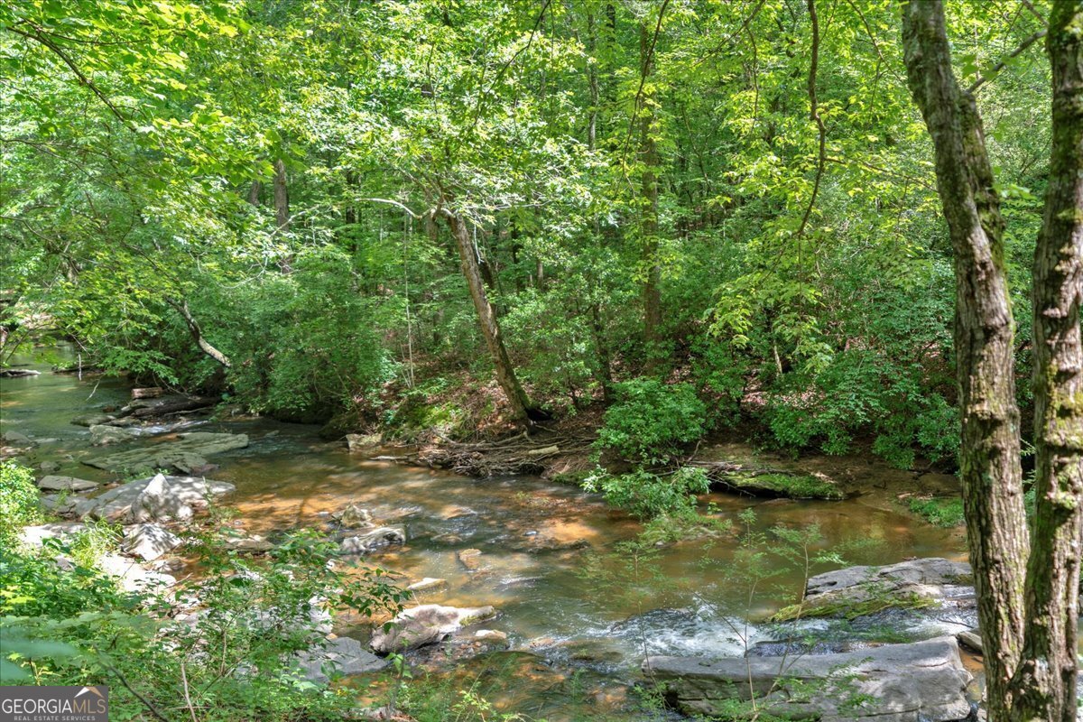262 Jackson Shoals Road Franklin - 68