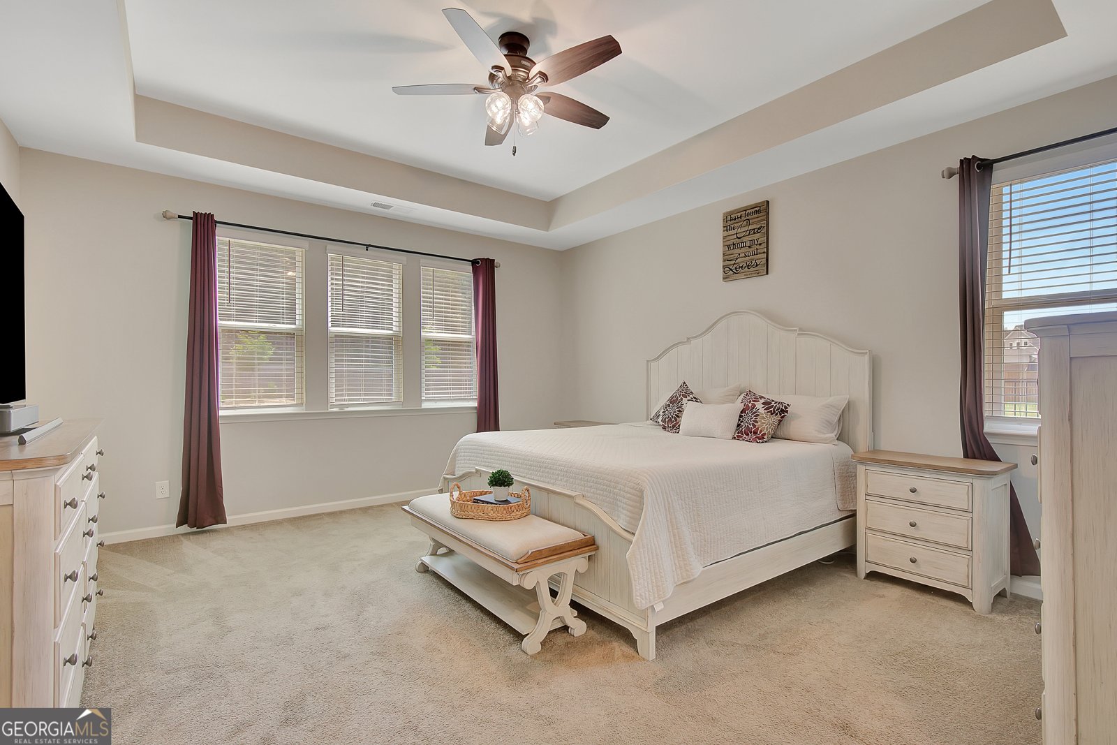445 Cushing Street Senoia - 10