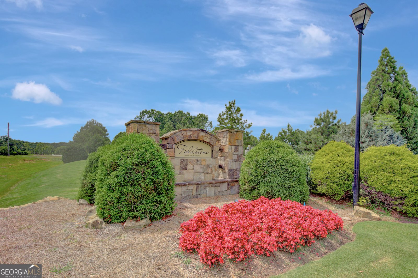 445 Cushing Street Senoia - 36