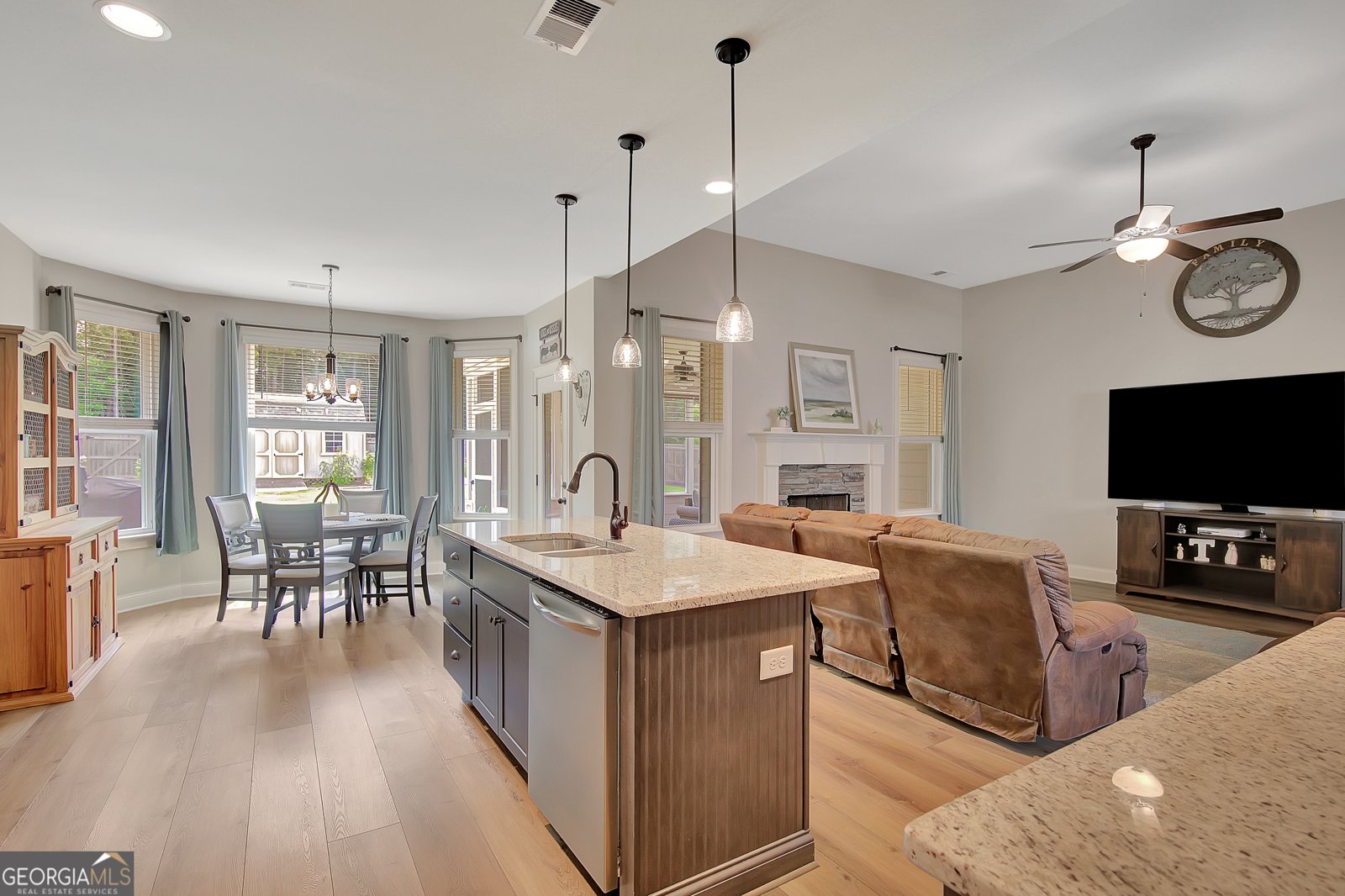 445 Cushing Street Senoia - 7
