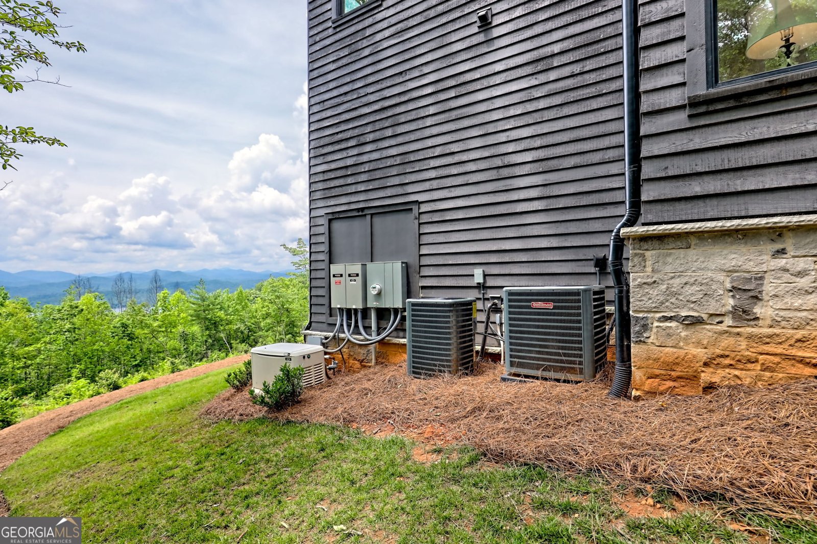 1572 Parker Hollifield Rd. Tiger - 1