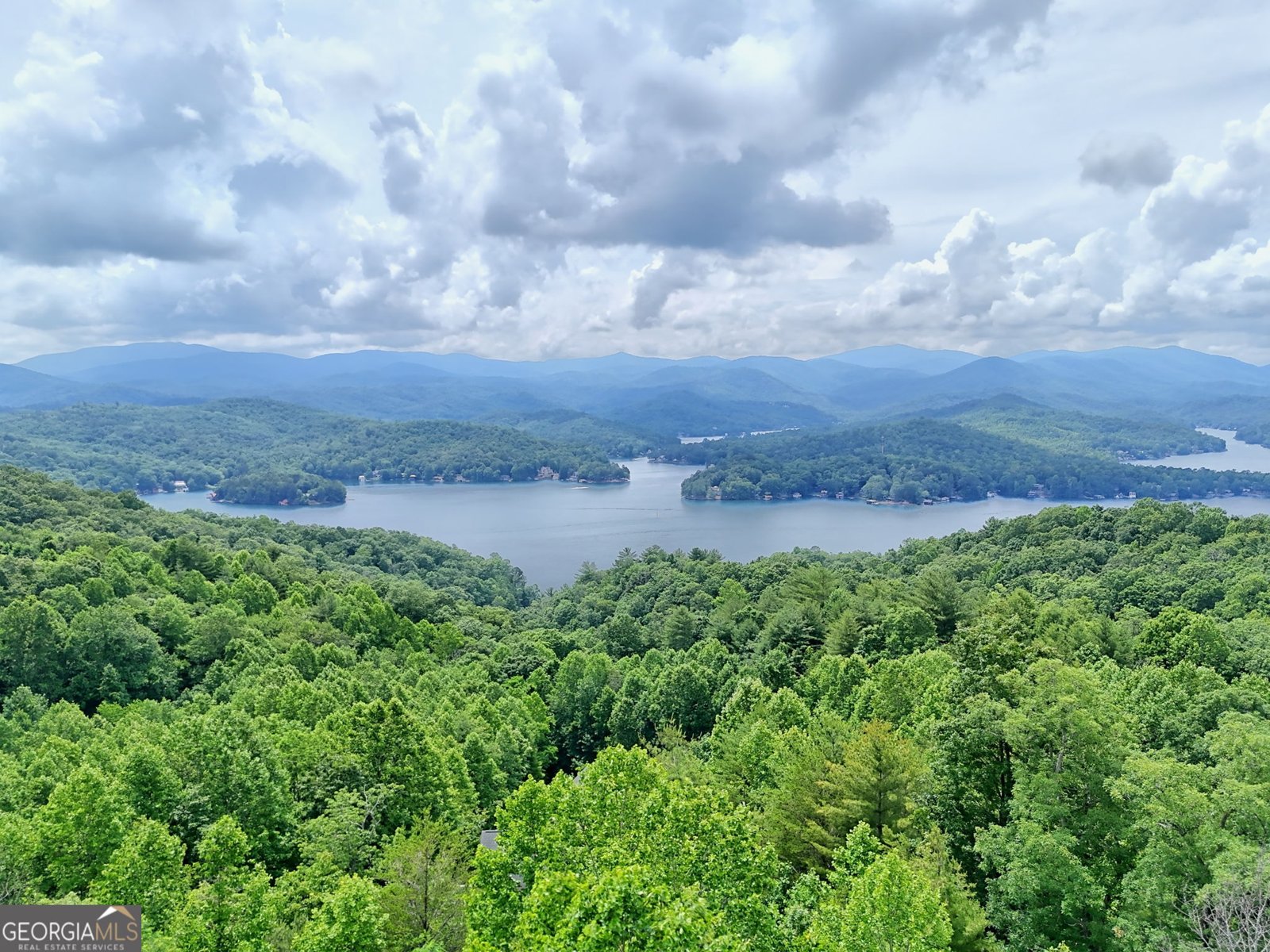 1572 Parker Hollifield Rd. Tiger - 16