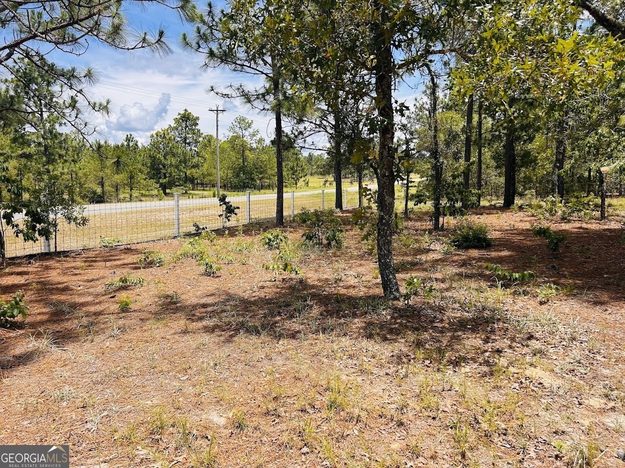 424 Moores Chapel Road Mauk - 5