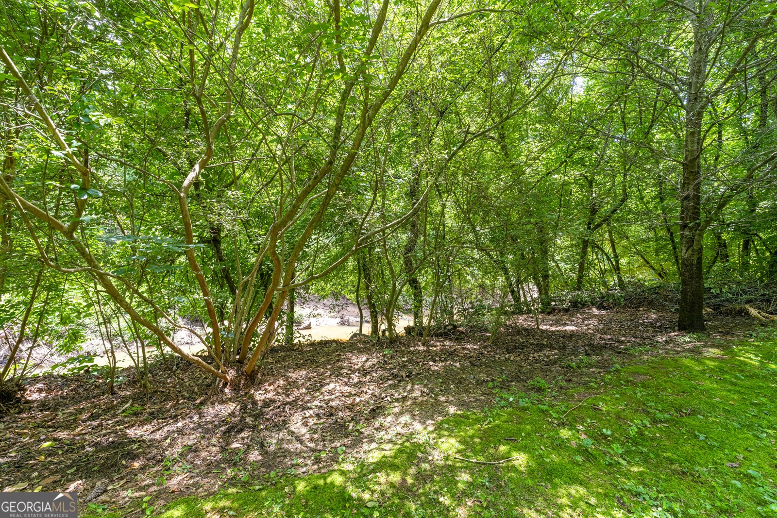 955 Landmark Drive Sandy Springs - 12