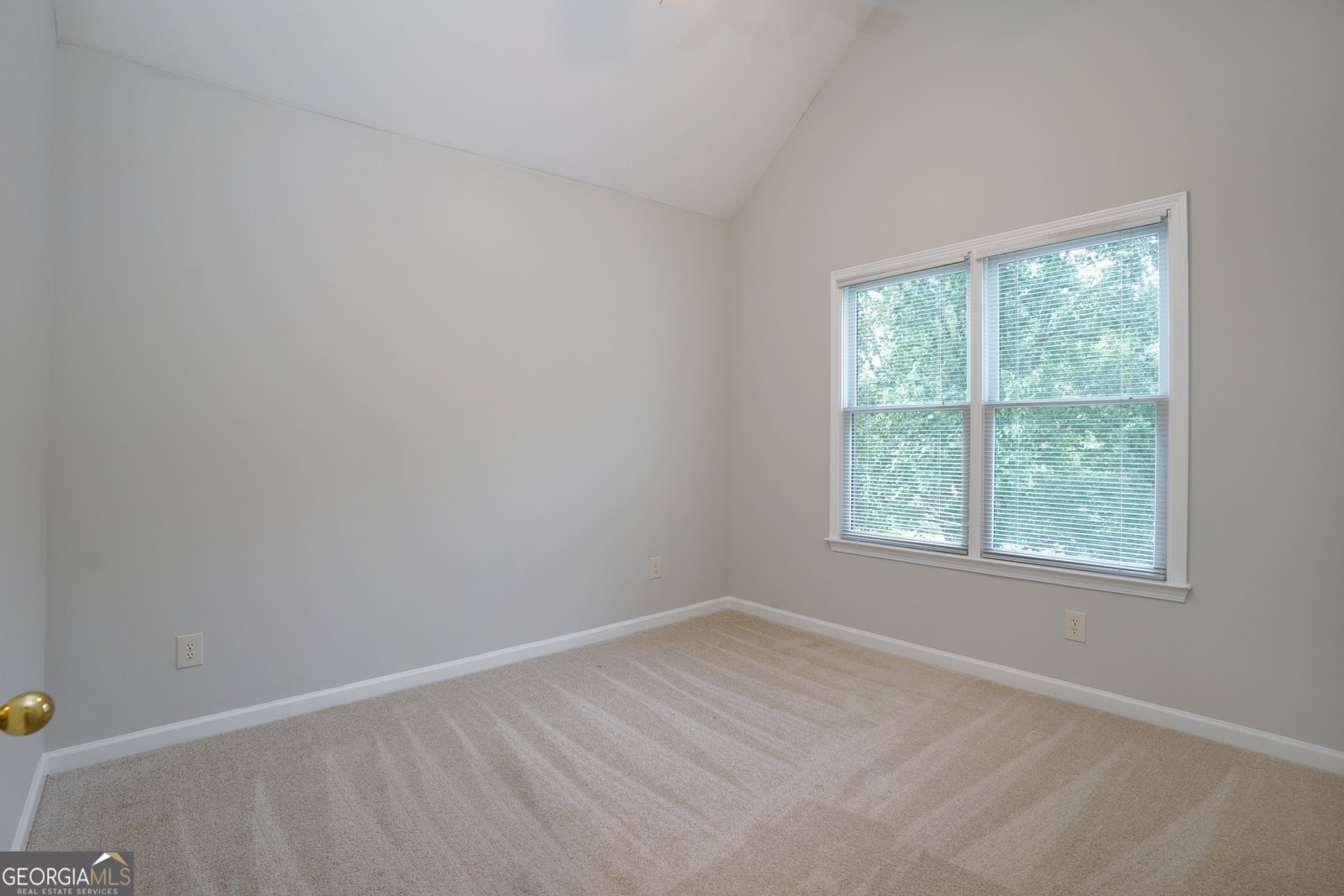 655 Golden Meadows Lane Suwanee - 28