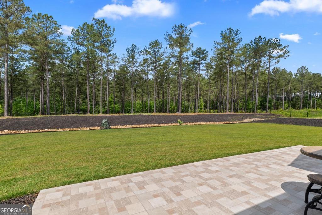 1413 Walkers Mill Road Griffin - 39