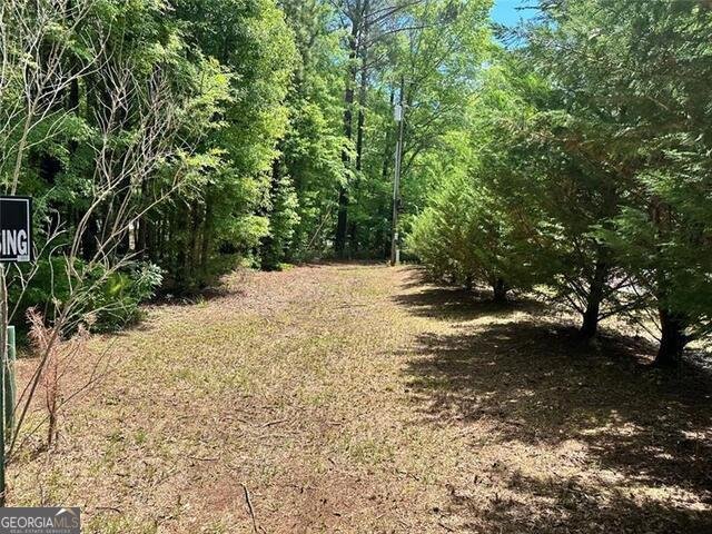 230 Vaughn Circle Griffin - 17