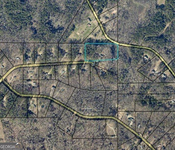 230 Vaughn Circle Griffin - 19