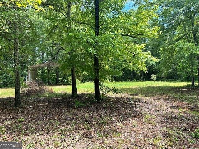 234 Vaughn Circle Griffin - 25